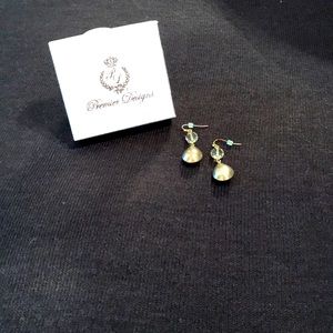 Premier Designs Charisma Earrings